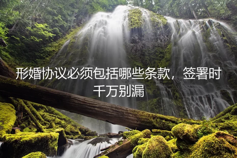 形婚协议必须包括哪些条款,签署时千万别漏:保姆级实操避坑指南