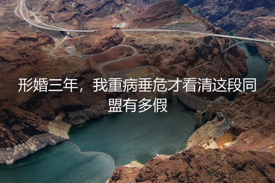 形婚三年，我重病垂危才看清这段同盟有多假