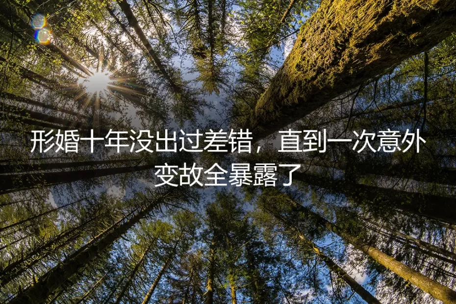 形婚十年没出过差错，直到一次意外变故全暴露了