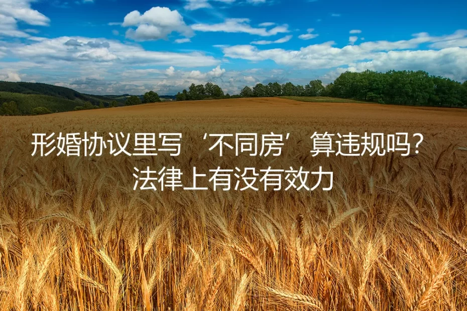 形婚协议里写“不同房”算违规吗?法律效力与风险全解析