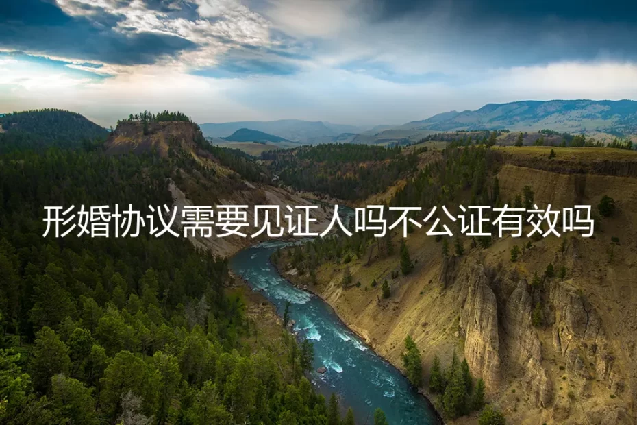 形婚协议需要见证人吗？不公证有效吗？——高频问答深度答疑