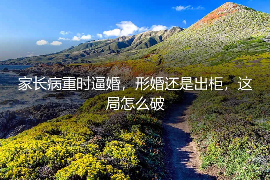 家长病重时逼婚：形婚还是出柜，这局怎么破？