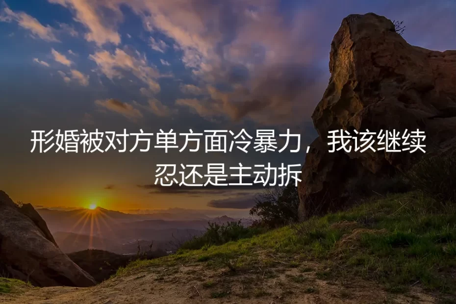 形婚遭遇单方面冷暴力：该忍还是该拆？一份基于契约与人性的决策清单