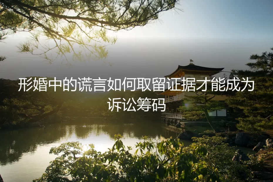 形婚中的谎言：如何取证留证，让证据成为诉讼筹码