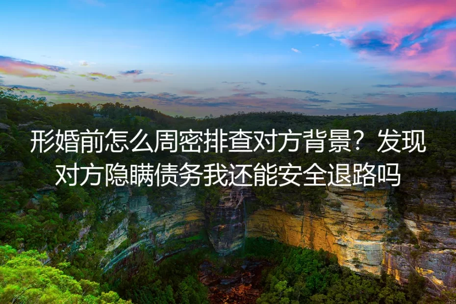 形婚前怎么周密排查对方背景?发现对方隐瞒债务,我还能安全退路吗