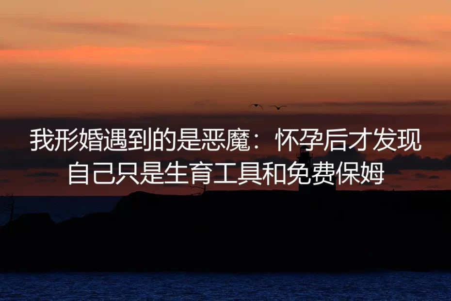 我形婚遇到的是恶魔:怀孕后才发现自己只是生育工具和免费保姆