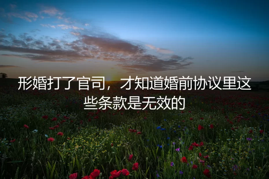形婚打了官司，才知道婚前协议里这些条款是无效的
