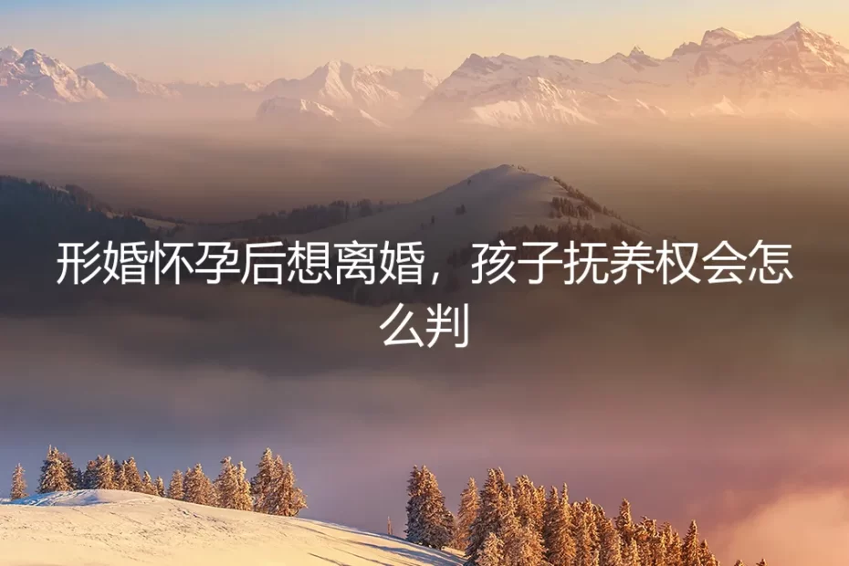 形婚怀孕后想离婚,孩子抚养权会怎么判?深度答疑