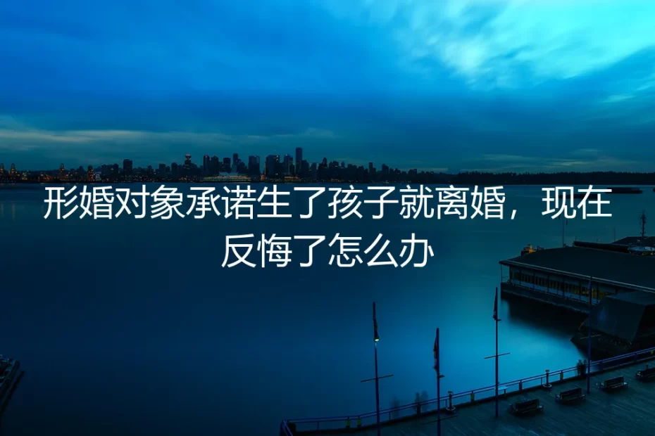 形婚对象承诺生了孩子就离婚，现在反悔了怎么办？深度答疑与风险应对指南