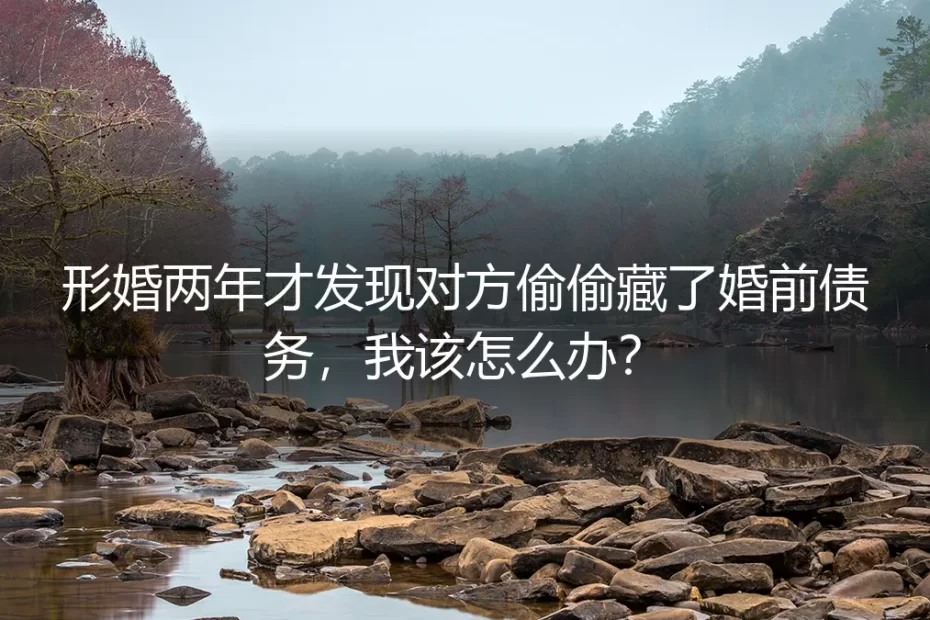 形婚两年才发现对方偷偷藏了婚前债务，我该怎么办？