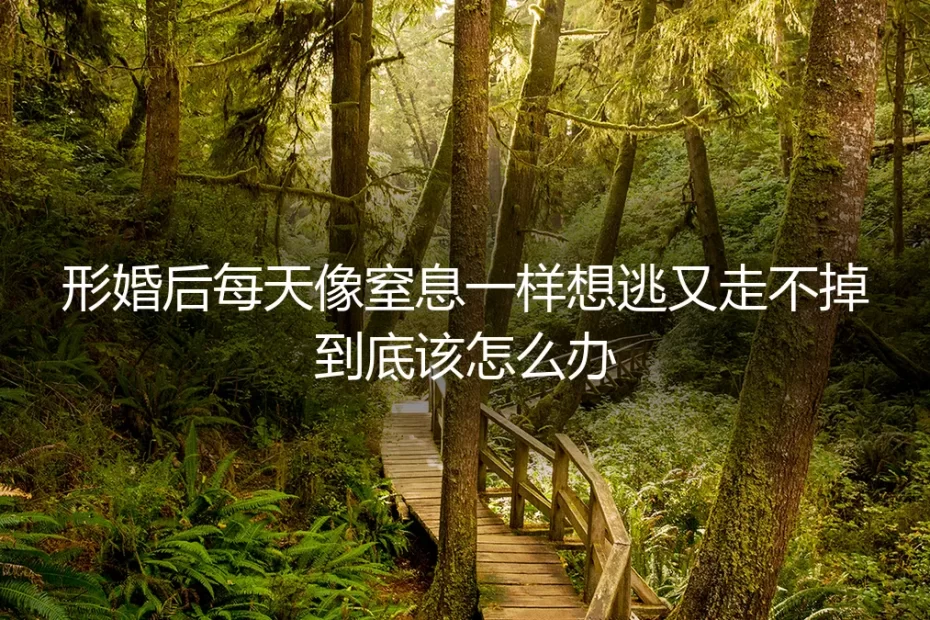 形婚后每天像窒息一样想逃又走不掉，到底该怎么办？
