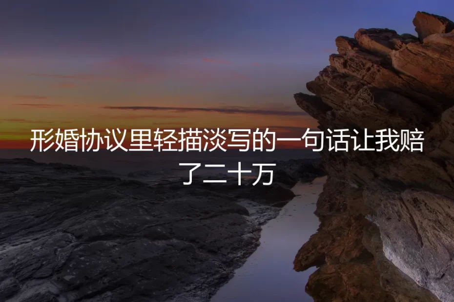 形婚协议里轻描淡写的一句话让我赔了二十万