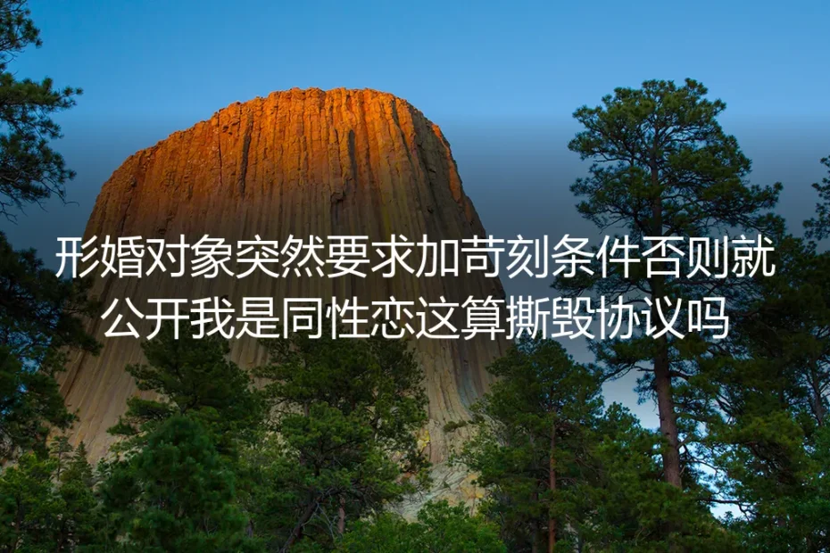 形婚对象突然要求加苛刻条件否则就公开我是同性恋，这算撕毁协议吗？